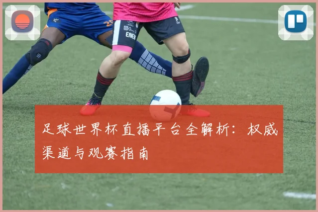 足球世界杯直播平台全解析：权威渠道与观赛指南
